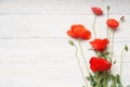Red poppy flowers bouquet on white rustic wooden surface. Royalty Free Stock Photo