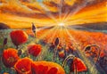 Red poppy flowers field sunset sun rays Royalty Free Stock Photo