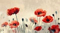 Red Poppy Flowers in a Field of White Royalty Free Stock Photo