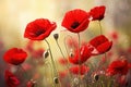 Red poppy flowers. Generate Ai Royalty Free Stock Photo