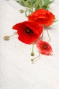 Red poppy flowers over white rustic wood. Royalty Free Stock Photo