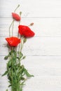 Red poppy flowers over white rustic wooden surface. Royalty Free Stock Photo