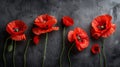 Red poppy flowers for remembrance day on solemn black background, symbolizing historical tribute