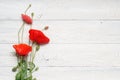 Red poppy flowers bouquet on white rustic wood. Royalty Free Stock Photo