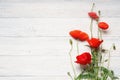 Red poppy flowers on white rustic wooden surface. Royalty Free Stock Photo