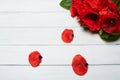 Red poppy flowers on white wood table Royalty Free Stock Photo