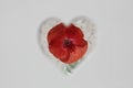 Red poppy hidden in the shape of heart Royalty Free Stock Photo