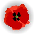 Red poppy icon