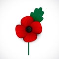 Red poppy remembrance day Royalty Free Stock Photo