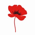 Red Poppy Silhouette: Minimalist Vector Symbol On White Background