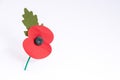 Red poppy used to symbolise Remembrance Sunday Royalty Free Stock Photo