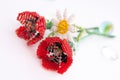 Red poppy and white camomile on a white background