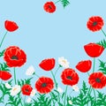 Red poppy and white chamomile illustration. Vector flower on blue.