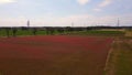 red poppyfield country, summer meadow. Fabulous aerial top view flight drone