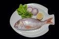 Red porgy as known as sea bream with rockets leaves served on white plate