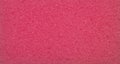Red porous texture. The texture of the sponge Royalty Free Stock Photo