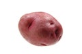 Red potato Royalty Free Stock Photo