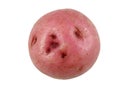 Red potato Royalty Free Stock Photo