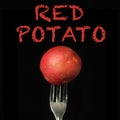 Red potato on black background Royalty Free Stock Photo