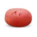 Red potato mockup, realistic style Royalty Free Stock Photo