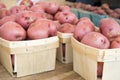 Red Potatoes Royalty Free Stock Photo