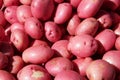 Red Potatoes Royalty Free Stock Photo