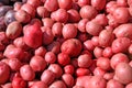 Red Potatoes Royalty Free Stock Photo