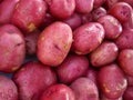 Red Potatoes Royalty Free Stock Photo