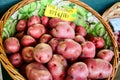 Red potatoes in a basket Royalty Free Stock Photo