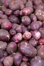 Red potatoes on display Royalty Free Stock Photo