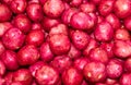 Red potatoes on display at the farmer's market Royalty Free Stock Photo