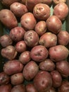 Red Potatoes on display Royalty Free Stock Photo