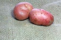 Red potatoes on a hessian background.