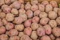 Red potatoes for sale Royalty Free Stock Photo