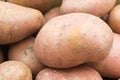 red potatos background, close up Royalty Free Stock Photo