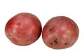 Red potatos Royalty Free Stock Photo