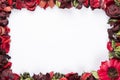 Red Potpourri frame with copy space Royalty Free Stock Photo