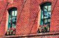 Red potted geraniums on window sills Royalty Free Stock Photo