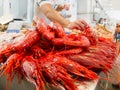 Red prawn in a market.