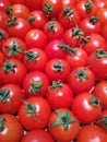 Red tomatoes with green stalk Royalty Free Stock Photo