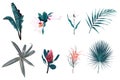 Red protea, hibiscus, orchid, bananas leaves, palms, exotic plants and mix of seasonal herbs big vector collection.