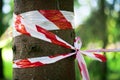 Red protective tape on the tree