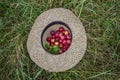 Red prunes in a straw hat Royalty Free Stock Photo