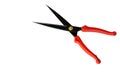 Red pruning shears isolated on a white background Royalty Free Stock Photo