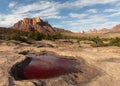 Red puddle on slickrock in Southern Utah Royalty Free Stock Photo