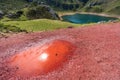 Red puddle with sun reflection and lake Royalty Free Stock Photo