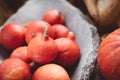 Red pumpkins in rustic stone bowl