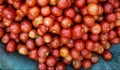 Red pure and fresh tomato in a vegetable market in india Royalty Free Stock Photo