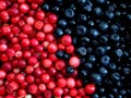 Red-purple background blueberries and cranberries. Royalty Free Stock Photo