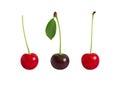 Red and purple cherries isolated on a white background. Cherry set. Fresh juicy berries Royalty Free Stock Photo